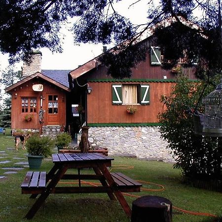 ラ・モリーナ ニウ デルズ ファルコンズ Bed & Breakfast エクステリア 写真